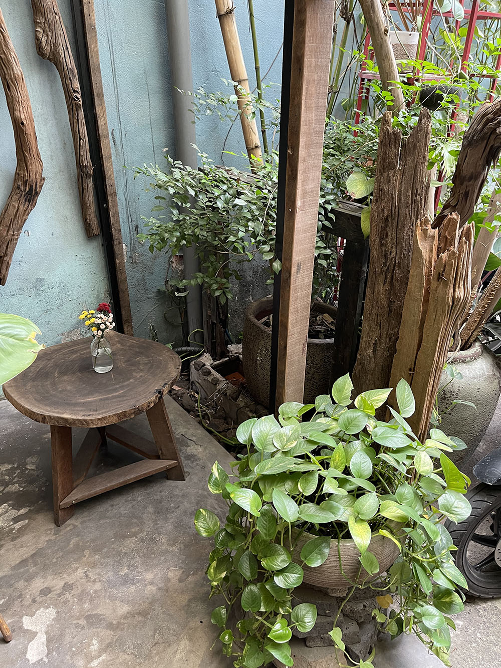 Nhà vườn (4 nở hậu 8,5 x 24,5=125m2) đang kd caphe nhạc Trinh hẻm 8m Lê Quang Định-giá chỉ 116tr/m2